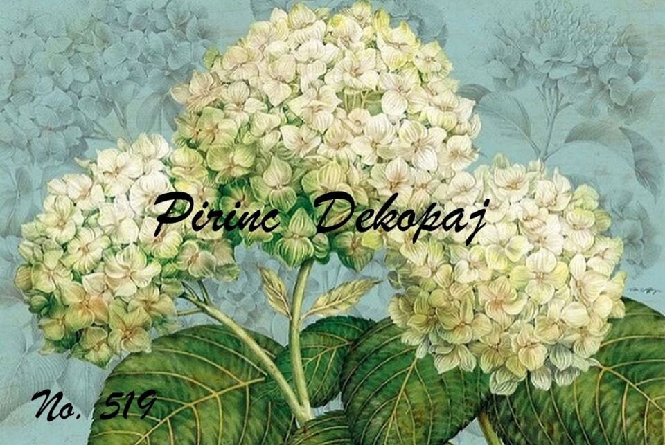 LİNEART PİRİNÇ DEKOPAJ NO 519