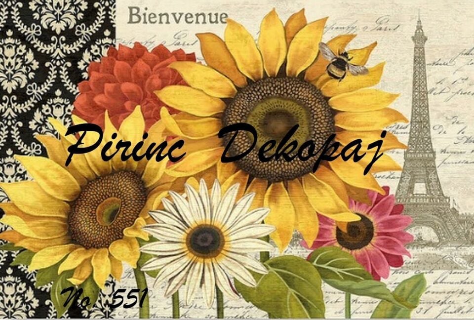 LİNEART PİRİNÇ DEKOPAJ NO 551