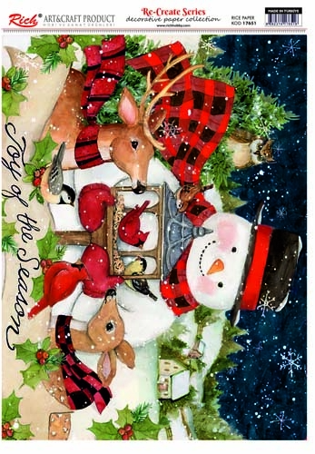 RİCH DEKOPAJ KAĞIDI 17651