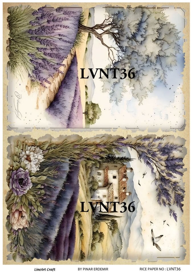 LİNEART PİRİNÇ DEKOPAJ LVNT36