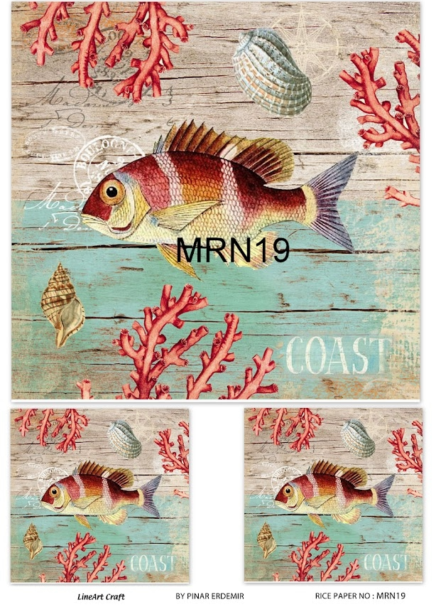 LİNEART PİRİNÇ DEKOPAJ MRN19