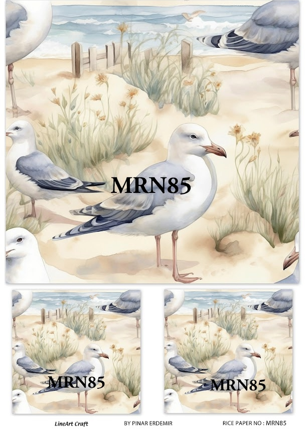 LİNEART PİRİNÇ DEKOPAJ MRN85