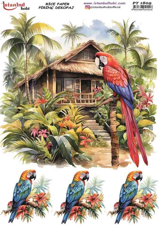 İSTANBUL HOBİ PİRİNÇ DEKOPAJ PT 1809