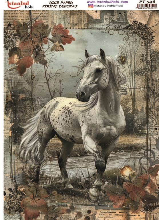 İSTANNBUL HOBİ PİRİNÇ DEKOPAJ PT546