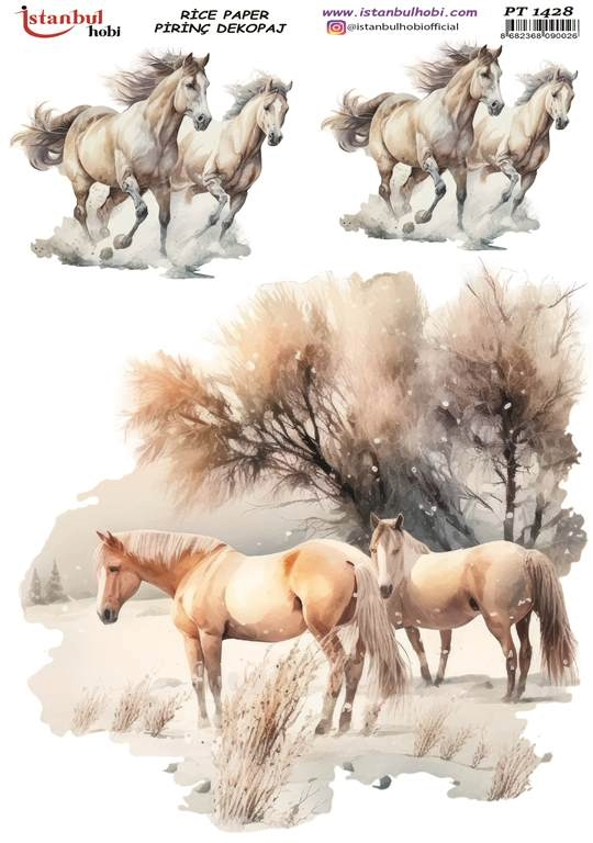 İSTANNBUL HOBİ PİRİNÇ DEKOPAJ PT 1428