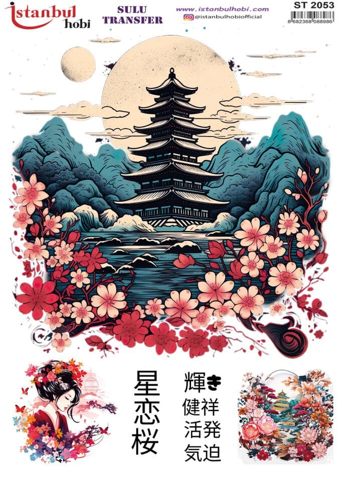 İSTANBUL HOBİ SULU TRANSFER (25x35 ) ST 2053