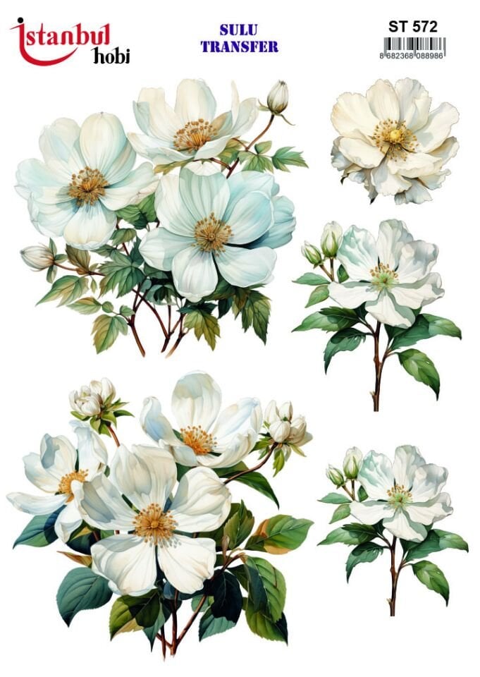 İSTANBUL HOBİ SULU TRANSFER (25x35) ST 572