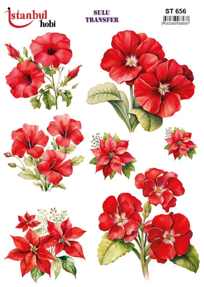 İSTANBUL HOBİ SULU TRANSFER (25x35) ST 656