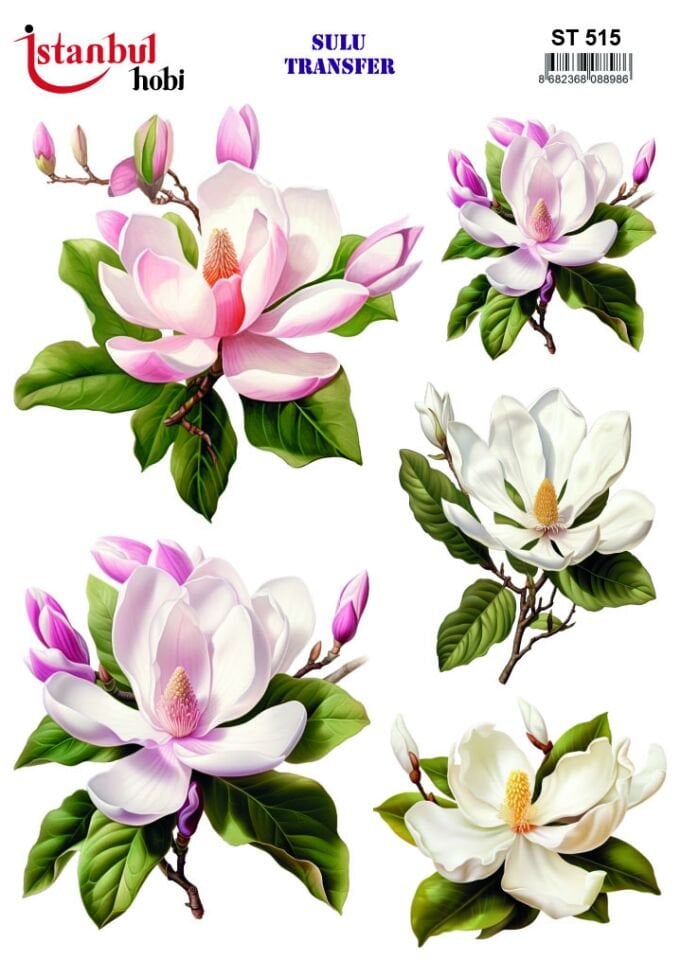 İSTANBUL HOBİ SULU TRANSFER (25x35) ST 515