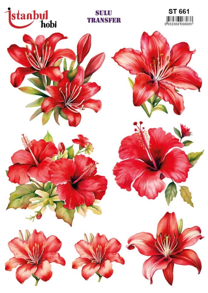 İSTANBUL HOBİ SULU TRANSFER (25x35) ST 661