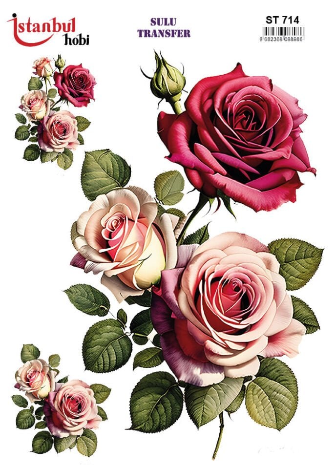 İSTANBUL HOBİ SULU TRANSFER (25x35 ) ST 714