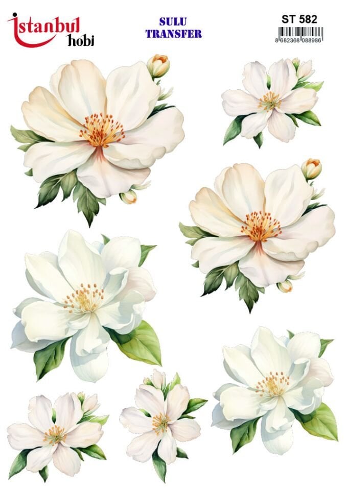 İSTANBUL HOBİ SULU TRANSFER (25x35 ) ST 582