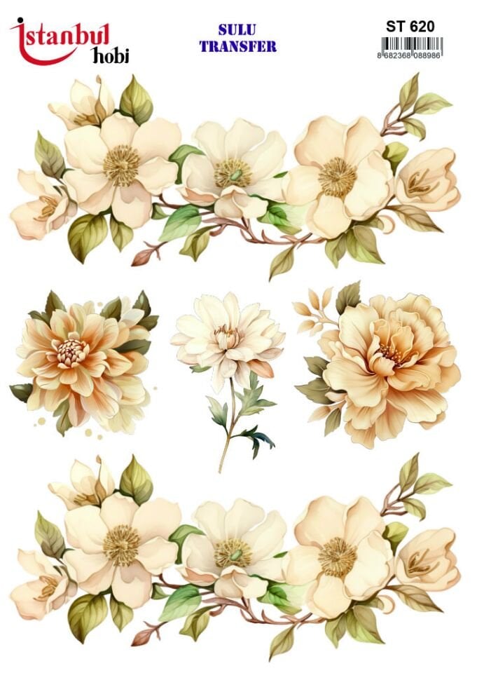 İSTANBUL HOBİ SULU TRANSFER (25x35 ) ST 620