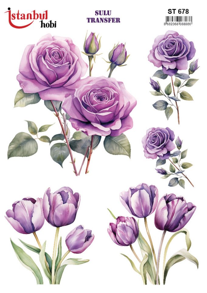 İSTANBUL HOBİ SULU TRANSFER (25x35 ) ST 678