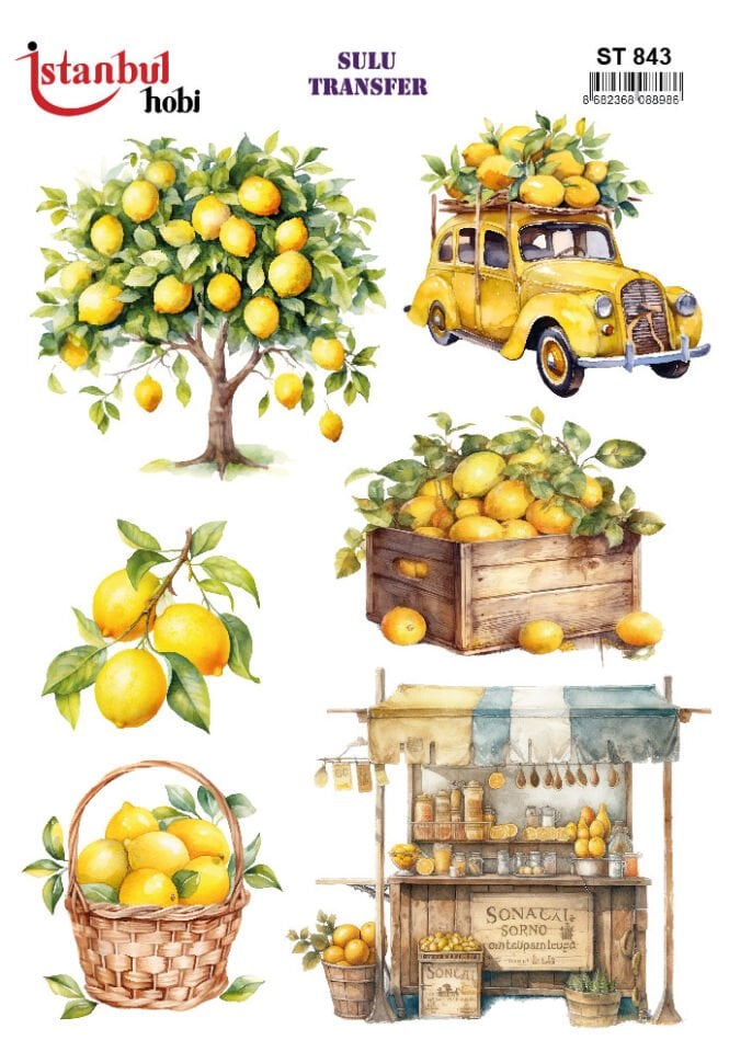 İSTANBUL HOBİ SULU TRANSFER (25x35) ST 843