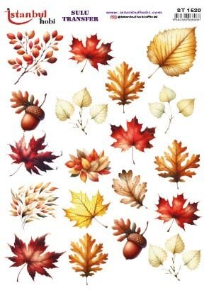 İSTANBUL HOBİ SULU TRANSFER (25x35) ST 1520