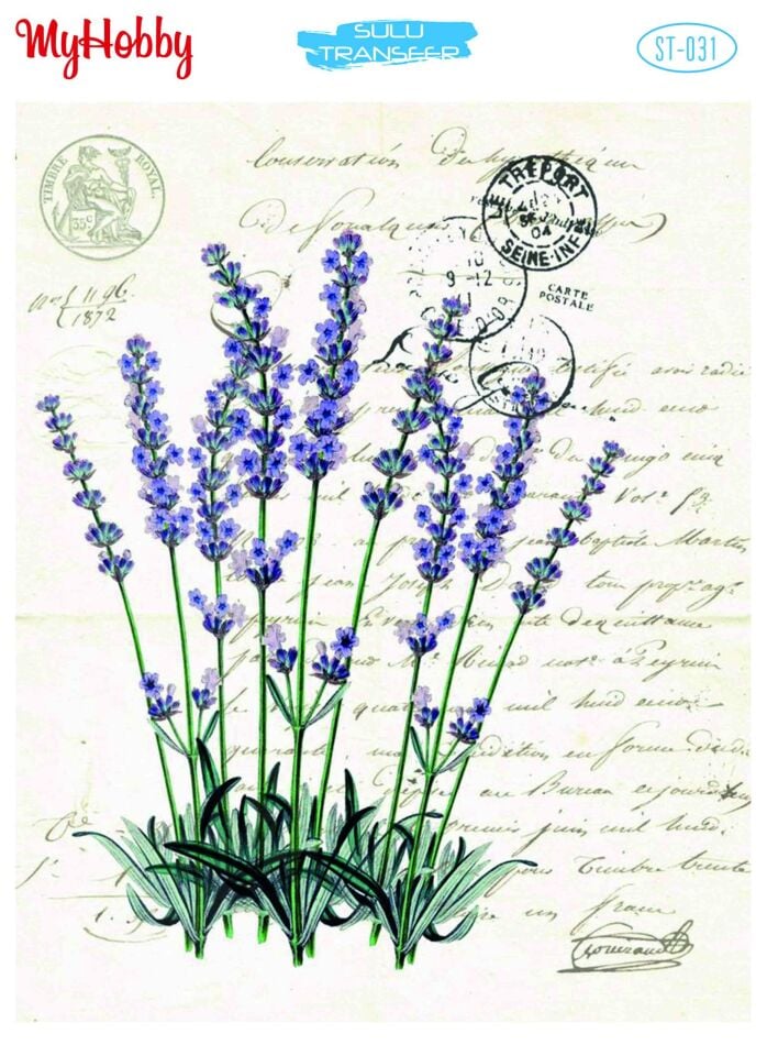 MyHobby Sulu Transfer 24X33 ST031