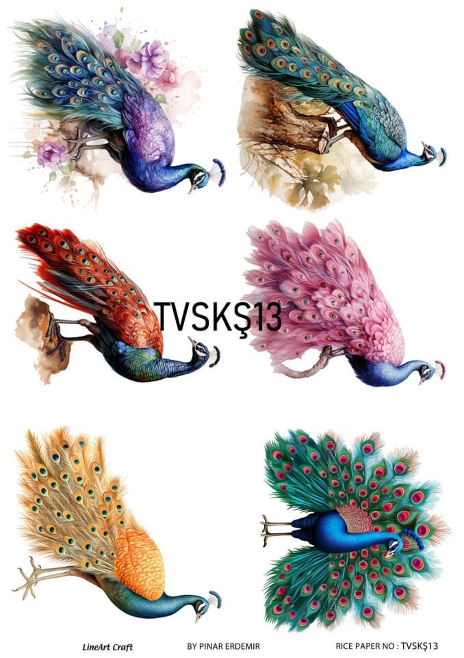 LİNEART PİRİNÇ DEKOPAJ TVSKŞ13