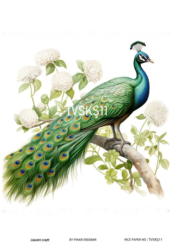 LİNEART PİRİNÇ DEKOPAJ TVSKŞ11