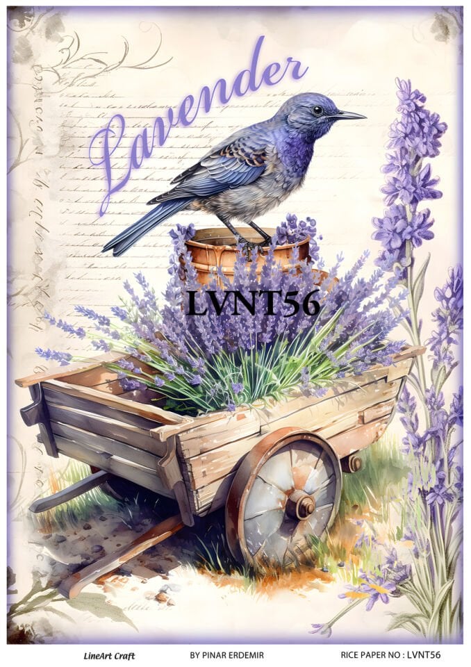 LİNEART PİRİNÇ DEKOPAJ LVNT56