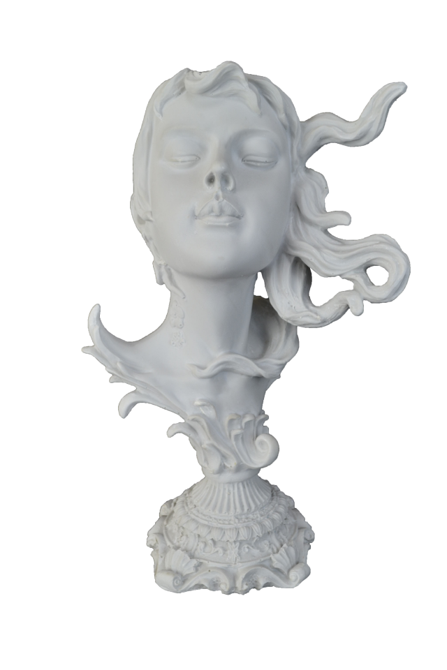 HYK939 - YENİ KIZ BÜST HAM POLYESTER 34X21CM