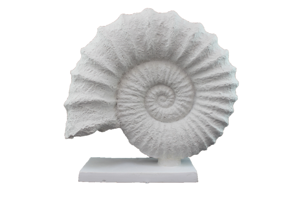 HYK313 - KAİDELİ DENİZ KABUĞU  HAM POLYESTER 30X32 CM
