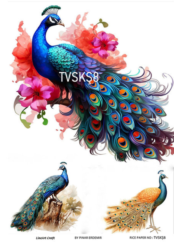 LİNEART PİRİNÇ DEKOPAJ TVSKŞ8