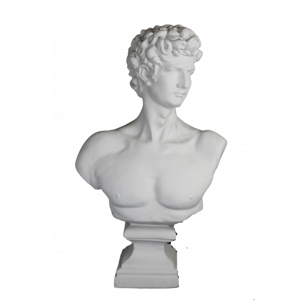 HYK889 - BÜYÜK DAVID(DAVUT) Polyester