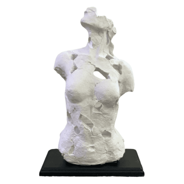 HYK976-SOYUT KADIN TORSO polyester