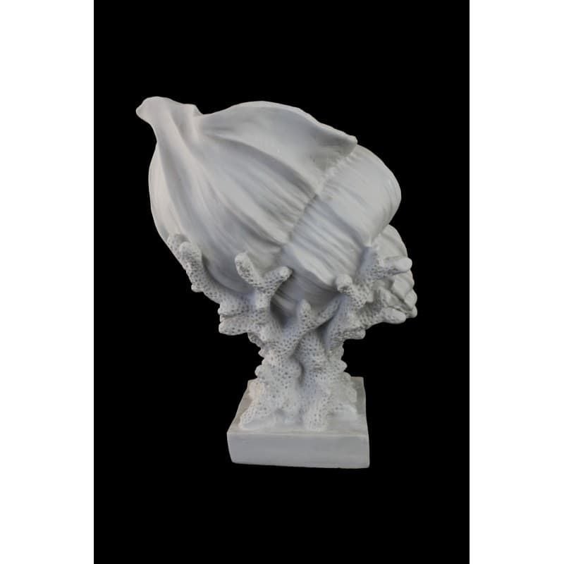 HYK-842 Deniz Kabuğu Mercan