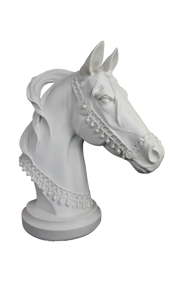 HYK868 - ARAP ATI İŞLEMELİ BÜST