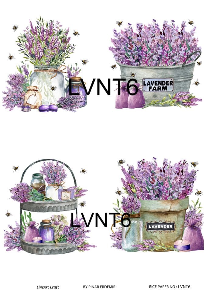 LİNEART PİRİNÇ DEKOPAJ LVNT6