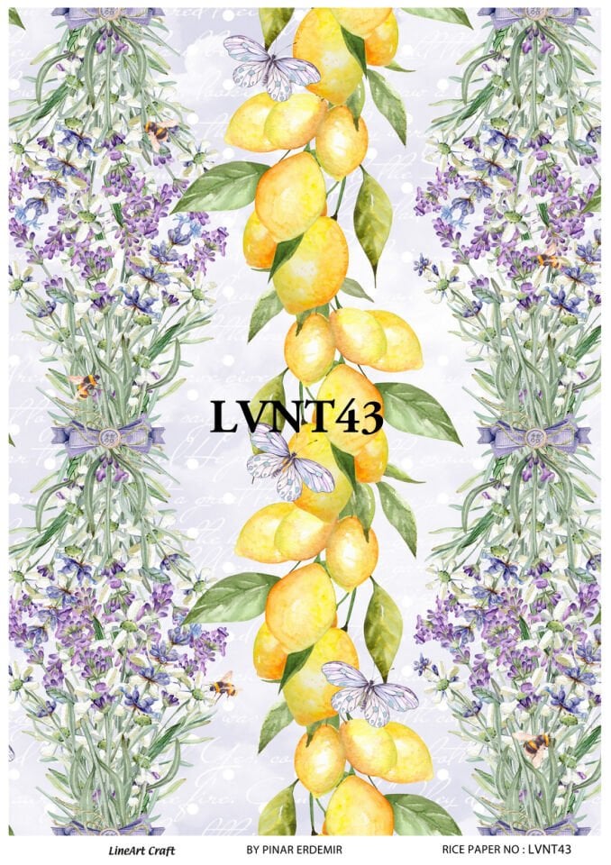 LİNEART PİRİNÇ DEKOPAJ LVNT43