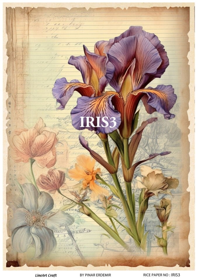 LİNEART PİRİNÇ DEKOPAJ IRIS3