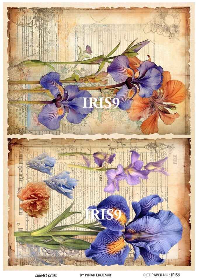 LİNEART PİRİNÇ DEKOPAJ IRIS9