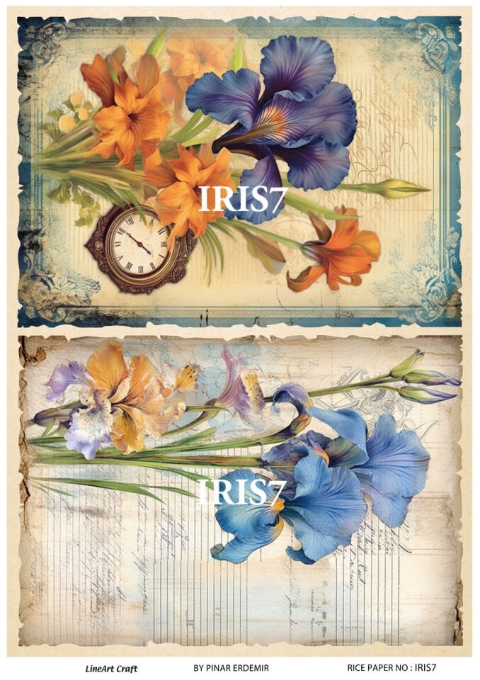 LİNEART PİRİNÇ DEKOPAJ IRIS7