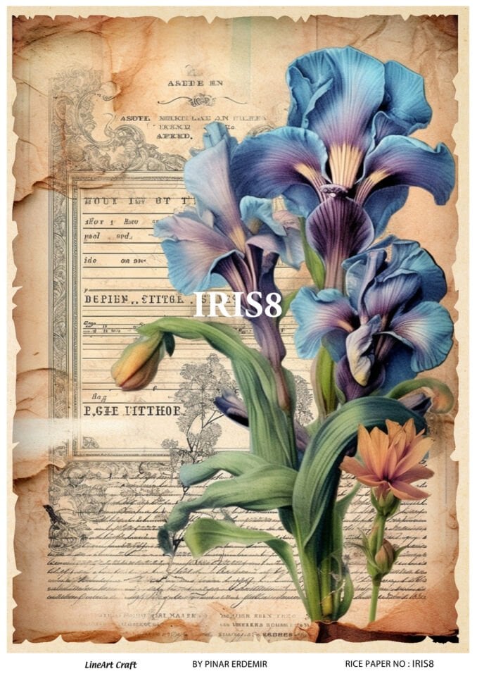 LİNEART PİRİNÇ DEKOPAJ IRIS8