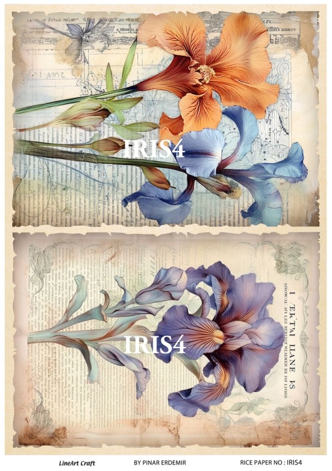 LİNEART PİRİNÇ DEKOPAJ IRIS4