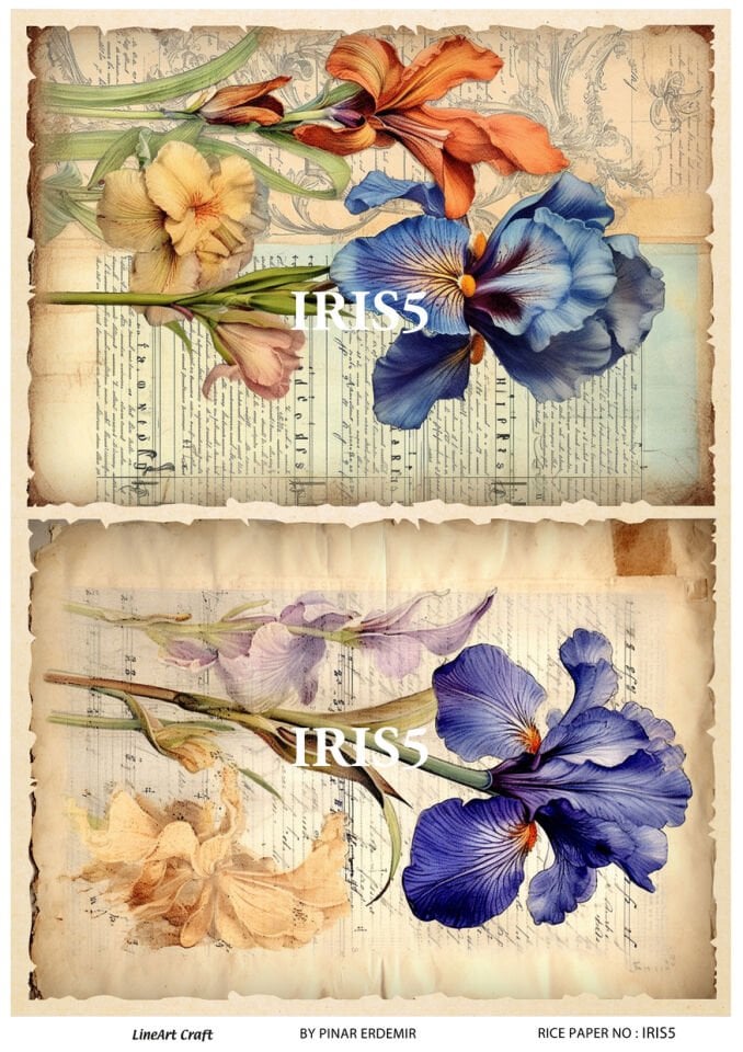 LİNEART PİRİNÇ DEKOPAJ IRIS5