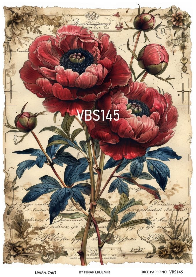 LİNEART PİRİNÇ DEKOPAJ VBS145